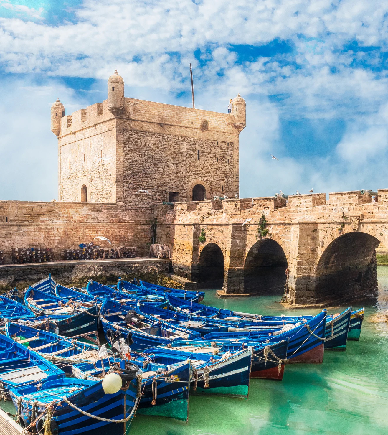 Circuits au départ d'Essaouira